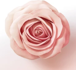 Miracles Lift & Volume Haarverdickende Pflegespülung -Berühmt Kosmetikladen MAM 10416594 SHOP IMAGE 1.4