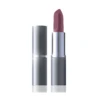 Rich Mat Lipstick 02 Famous Star 2 Rich Mat Lipstick 02 Famous Star -Berühmt Kosmetikladen MAM 6068347 SHOP IMAGE 1.4