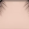 Essence LASH LIKE A BOSS False Lashes 03 -Berühmt Kosmetikladen MAM 6998817 SHOP IMAGE 1.4