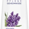 DOVE Pflege Geheimnisse Volumen Ritual Shampoo -Berühmt Kosmetikladen MAM 7550238 SHOP IMAGE 1.4