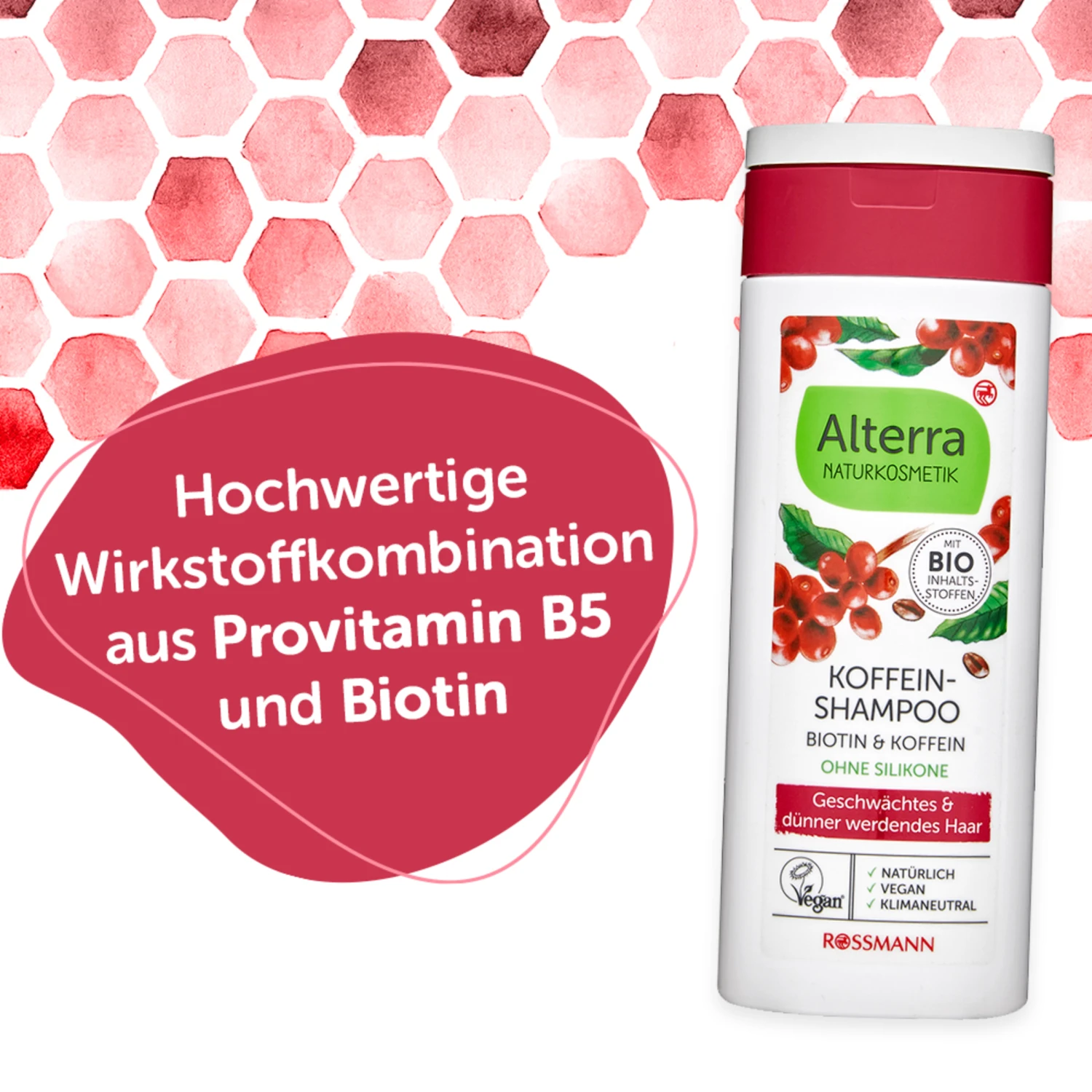 Koffein-Shampoo Biotin & Koffein 5 Koffein-Shampoo Biotin & Koffein – Bild 3